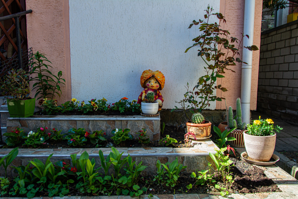 Morskaya Ladyya Guest House