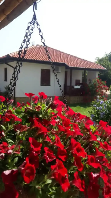 Апартаменты Eco Village San