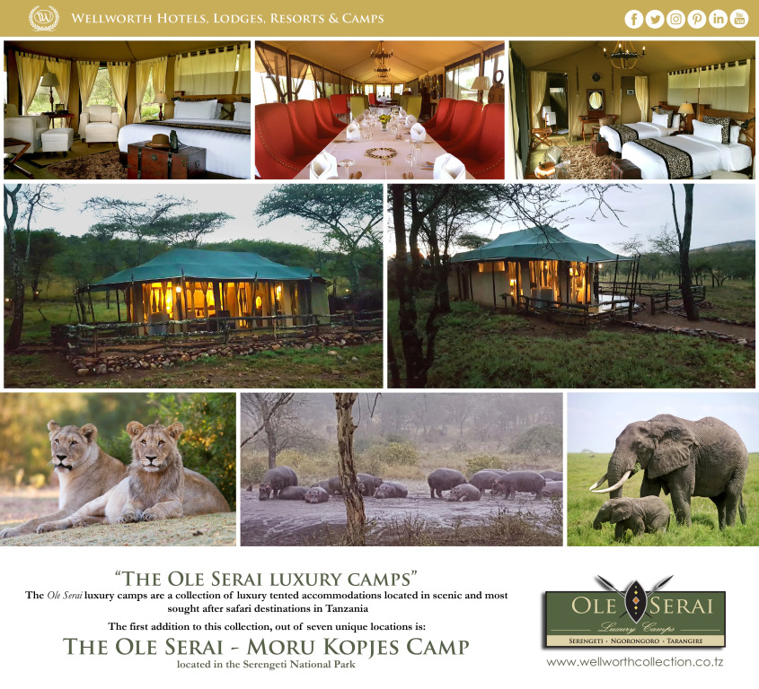 Wellworth Ole Serai Luxury Camp - Moru Kopjes