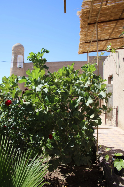 Guest House Khiva ,, BOYJON OTA "