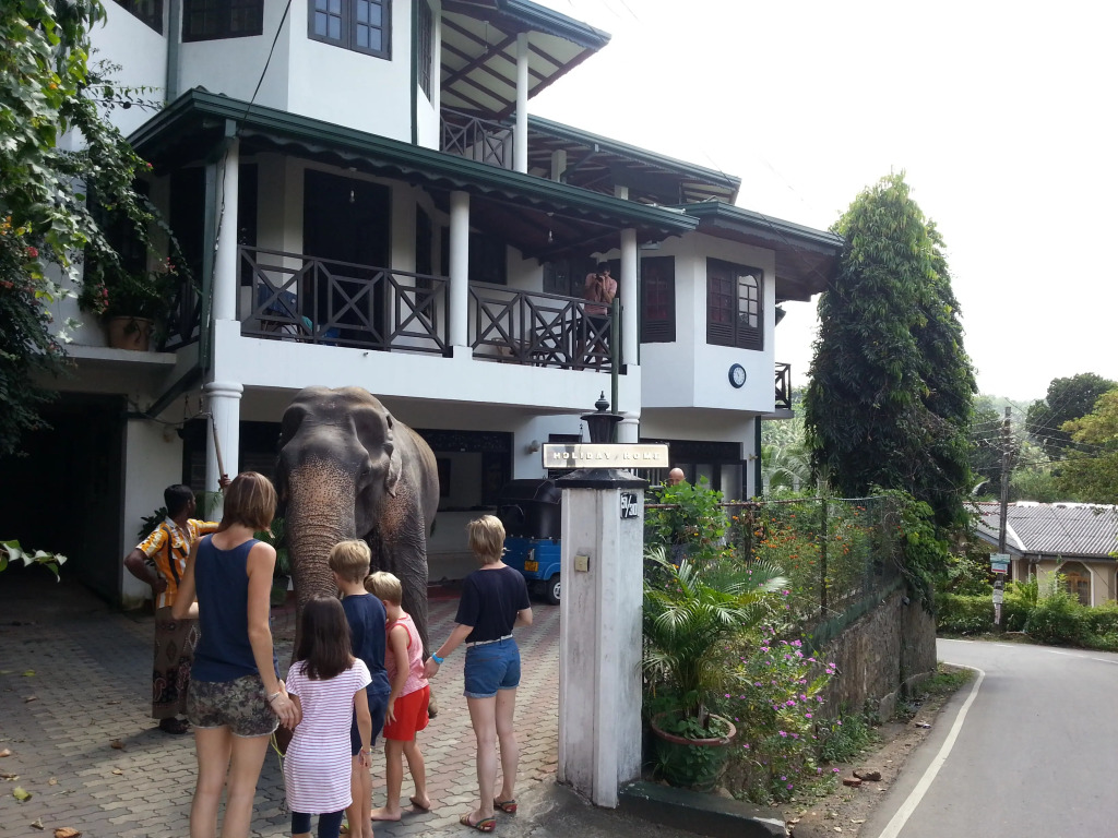 Гостевой дом Kandy Holiday Home