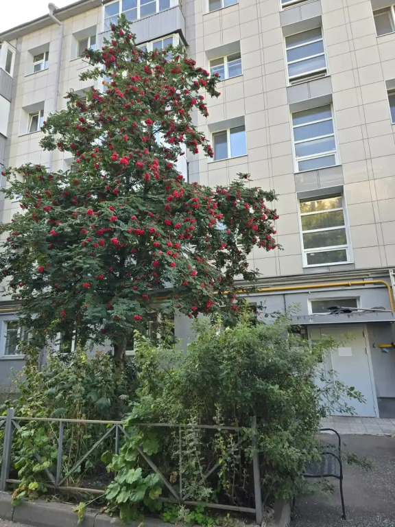 Квартира Современная Квартира в Центре Города