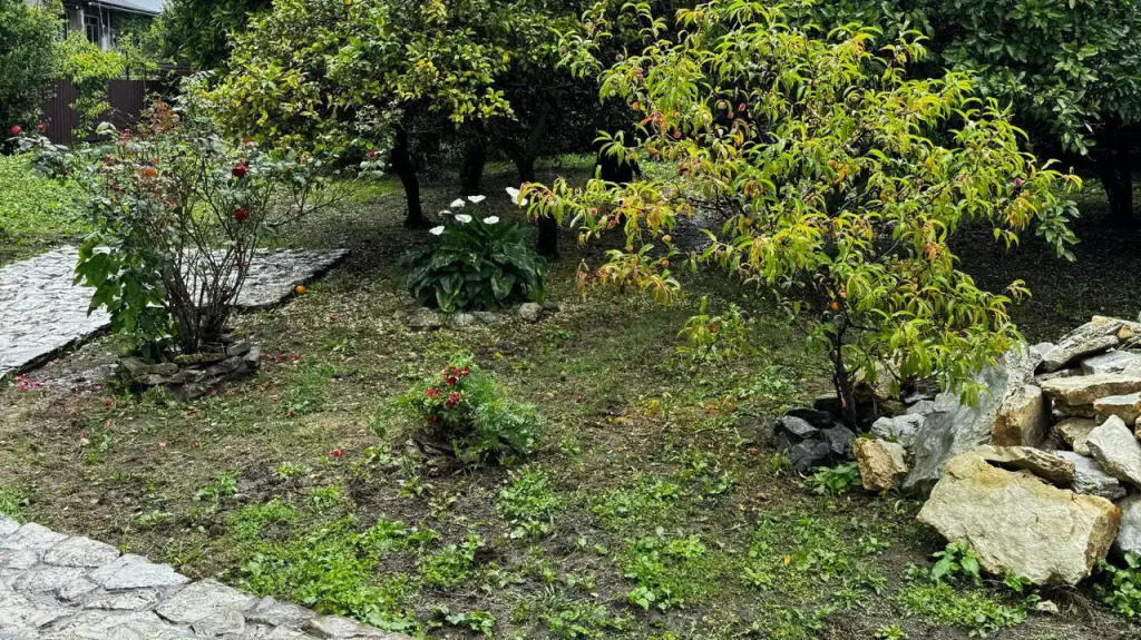 Mane Guest House