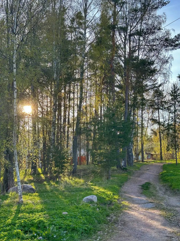 База отдыха Мичуринское озеро