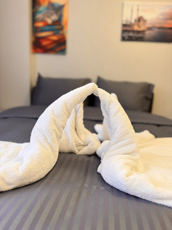 Отель Vefa Historical Suites