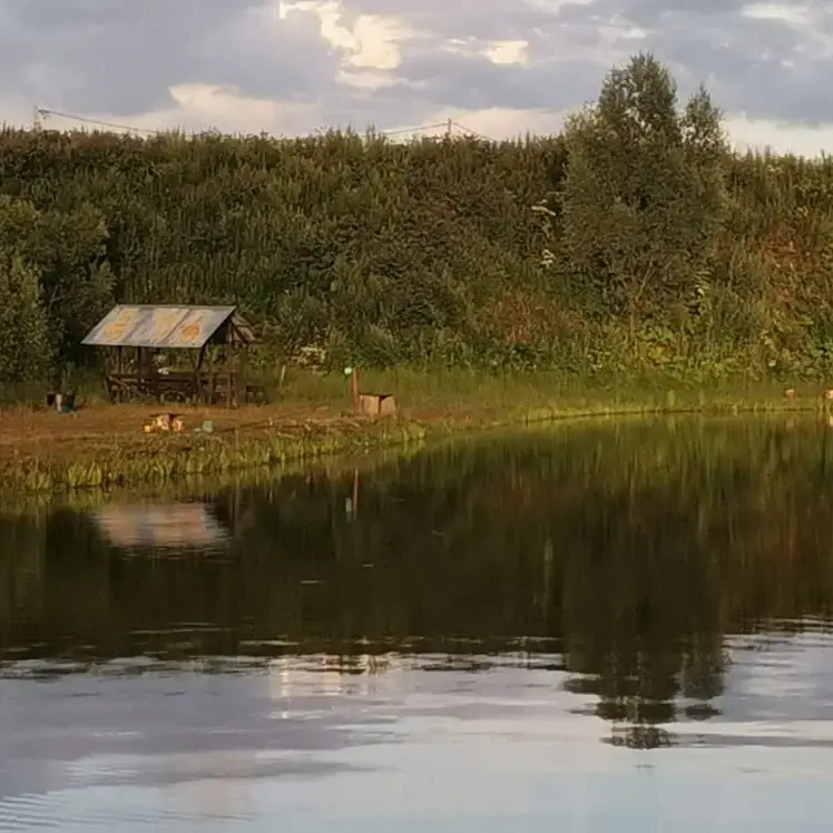 Бунгало МестоКлёва