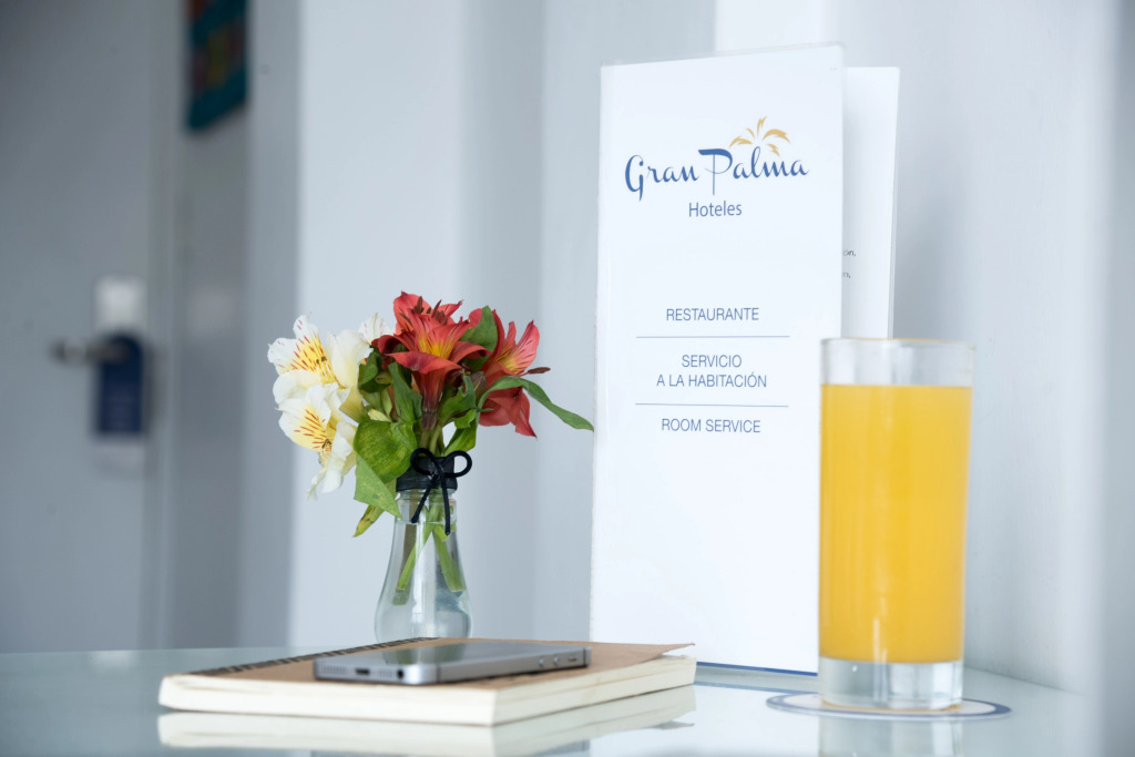 Hotel Gran Palma