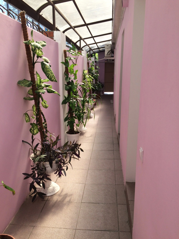 Morskaya Zvezda Guest House