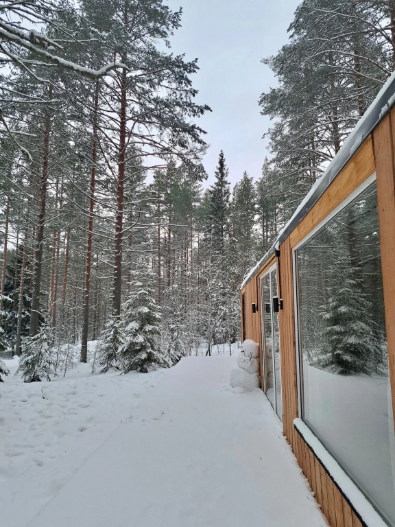 Кемпинг New Camp