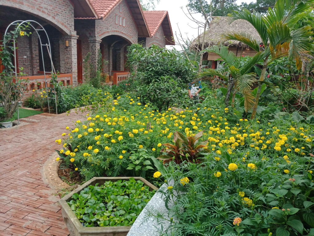 Ninh Binh Eco Garden