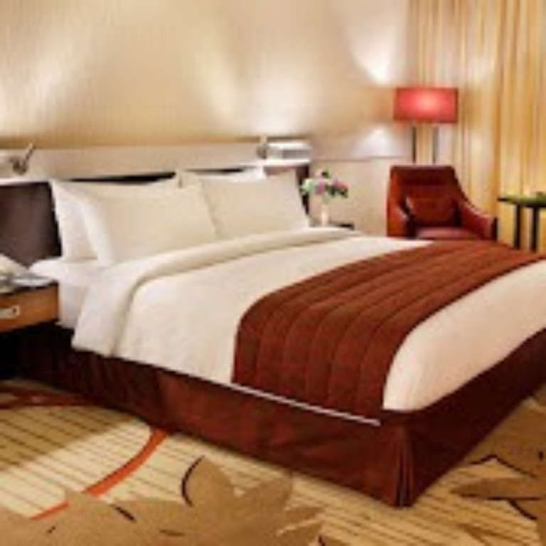 Excelsior Hotel Downtown