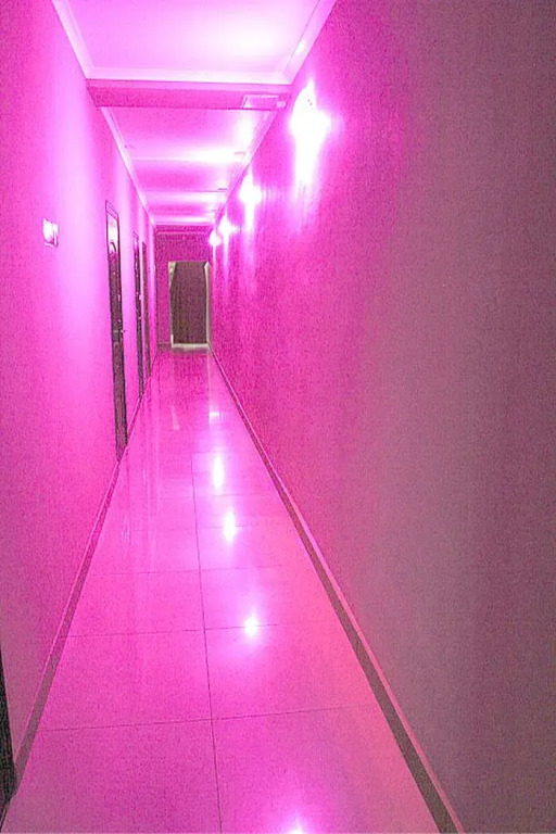 Abel Mini-Hotel