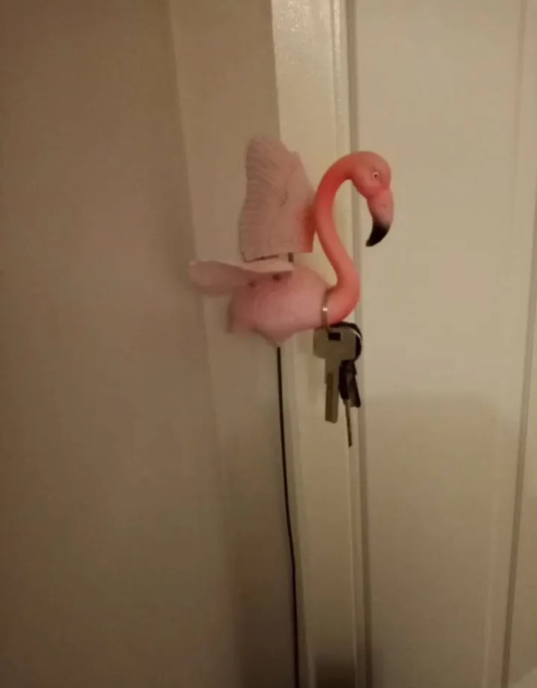 Flamingo Flat