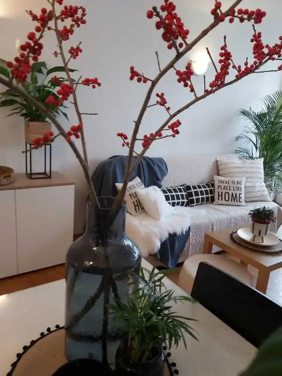 Apartment 2 rooms nearby the sea 900 meters