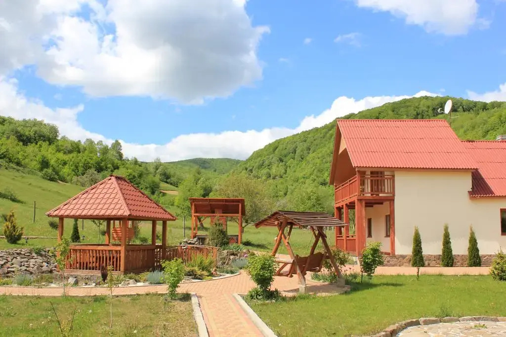 Svit Sontsya