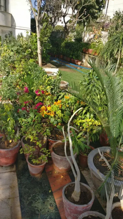 Abode Homestay