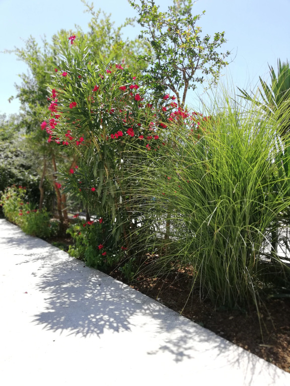 Апартаменты Tivat Luxury