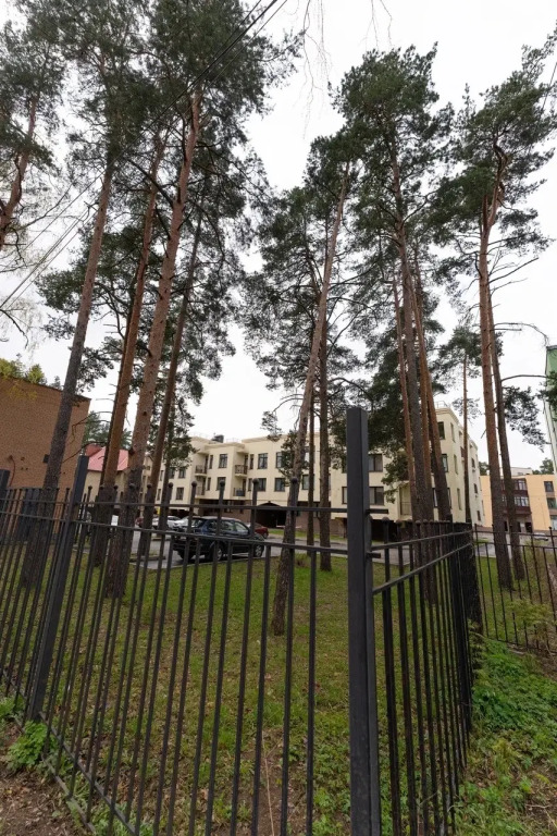 Апартаменты в Центре под Соснами