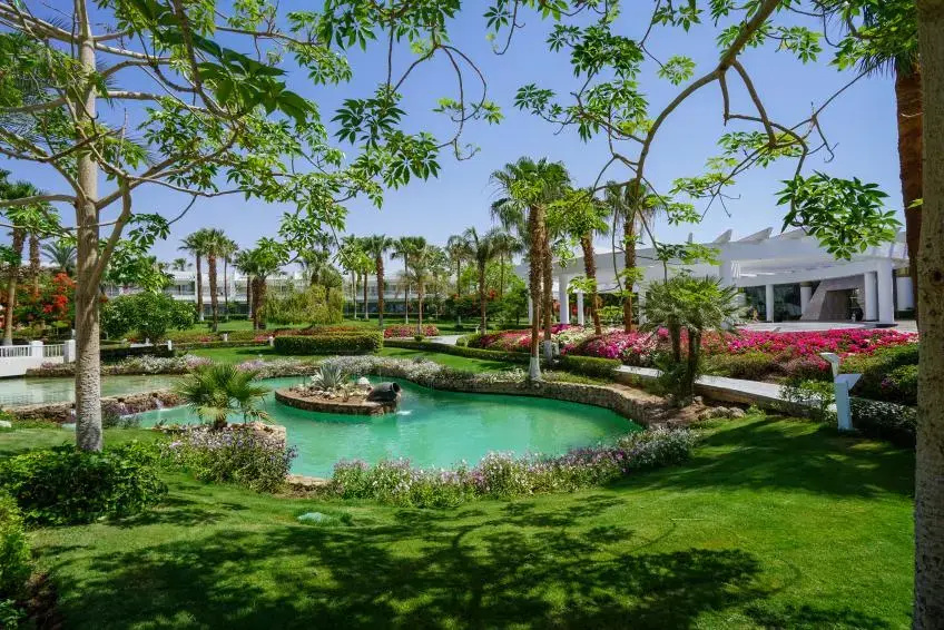 Monte Carlo Sharm Resort & Spa