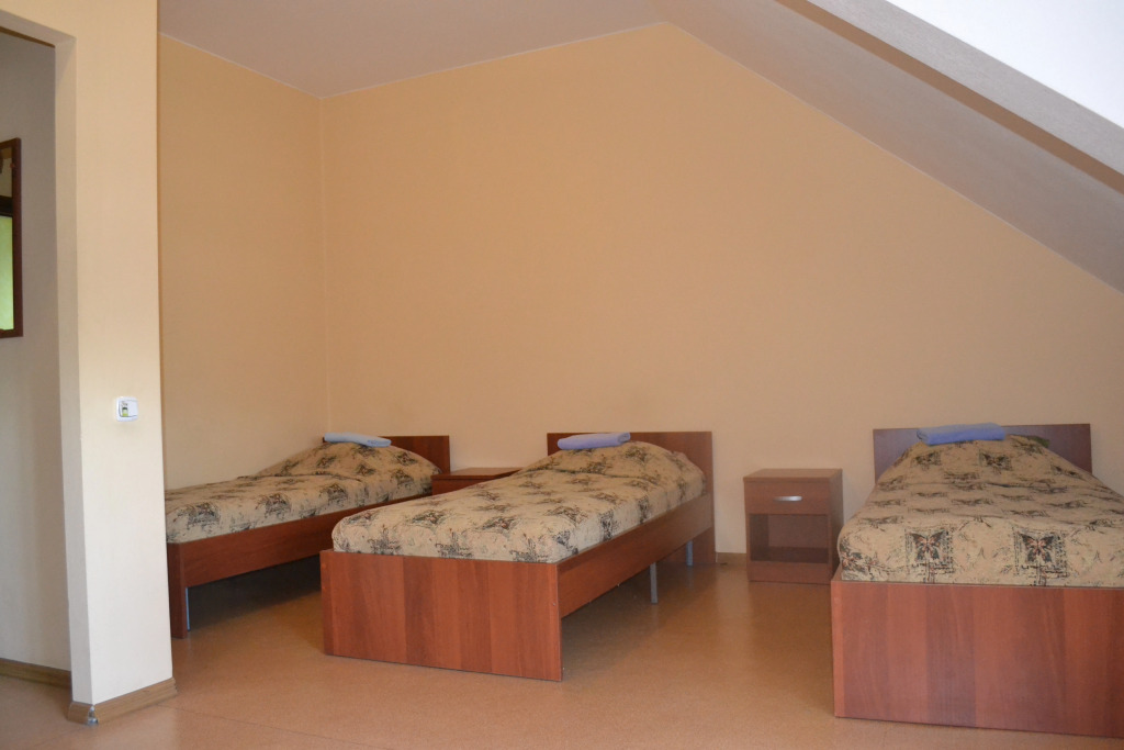 U Petrovicha Mini-Hotel