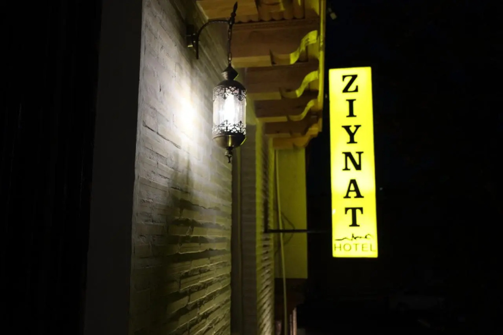 Отель Ziynat