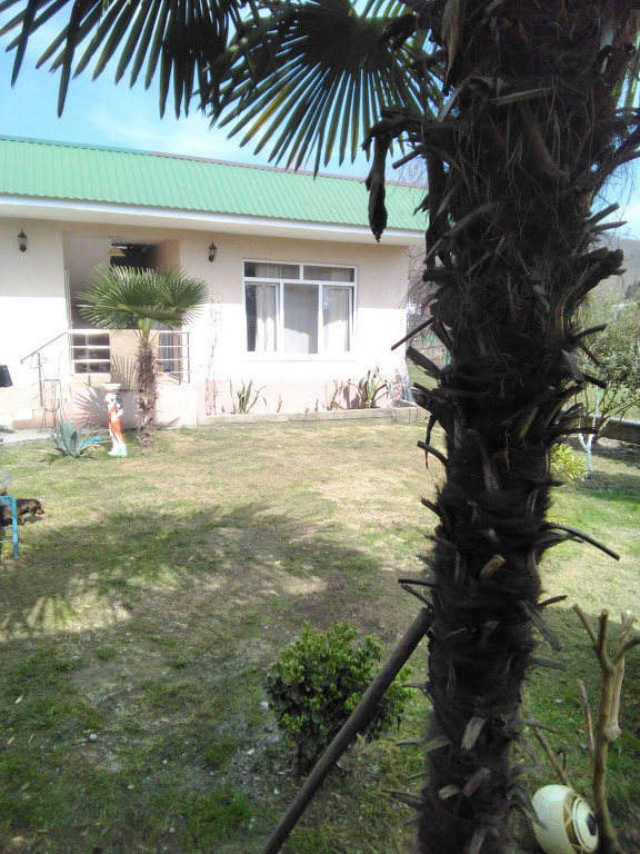 Dikaya Orhideya Guest House