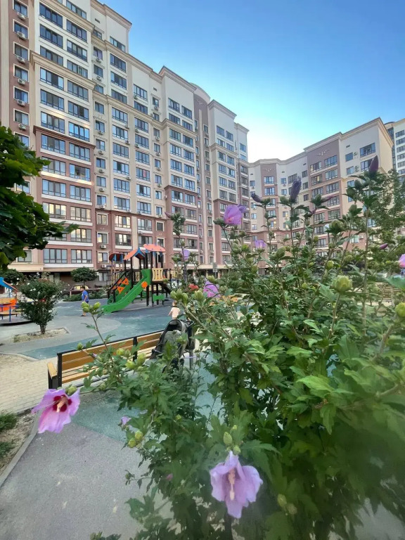 Квартира Август