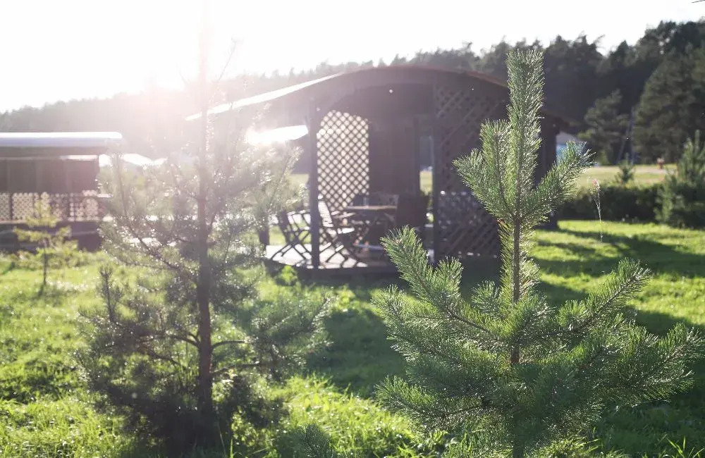 Отель Загородный комплекс  Волжанка