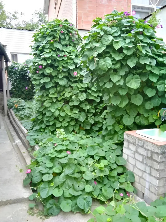 Меблированные комнаты Уютный Дом
