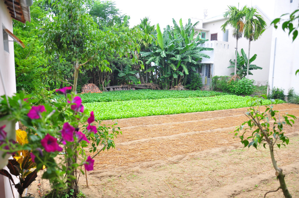 Гостевой Дом Petunia Garden Homestay