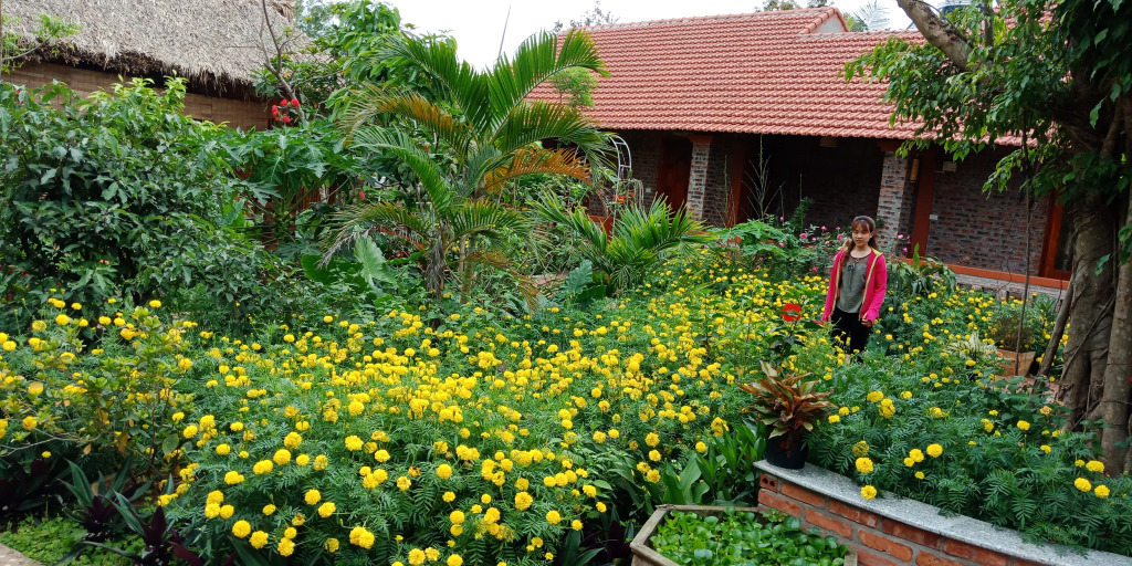 Ninh Binh Eco Garden