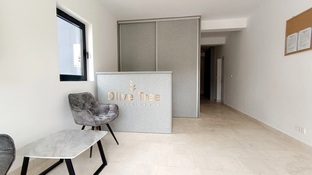 Апартаменты Olive Tree Apartments