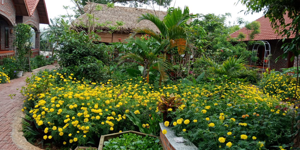 Ninh Binh Eco Garden