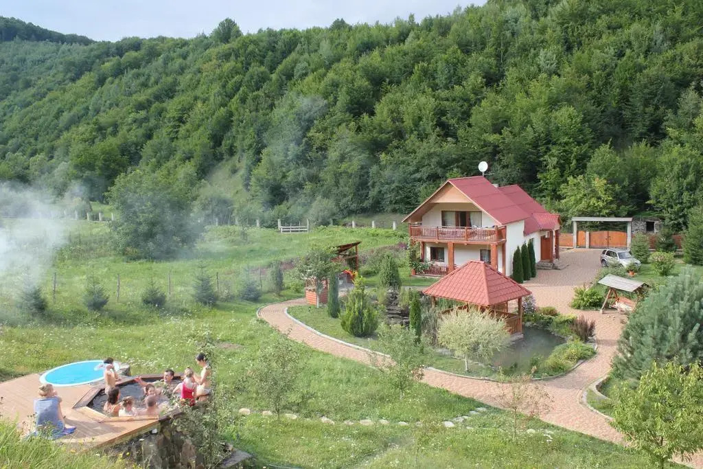 Svit Sontsya