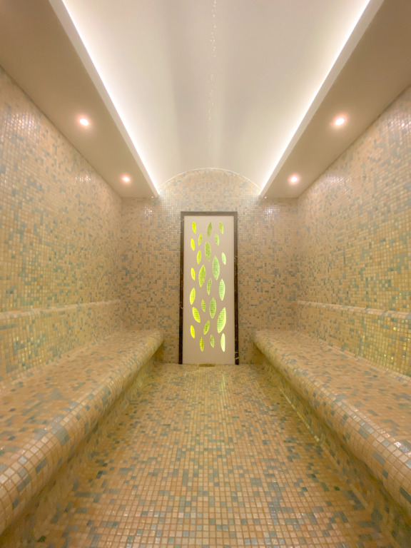 Отель Almira Thermal Spa & Convention Center