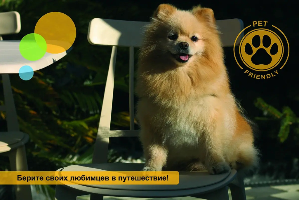 3 ★ Cosmos Smart Сочи Тиволи Отель