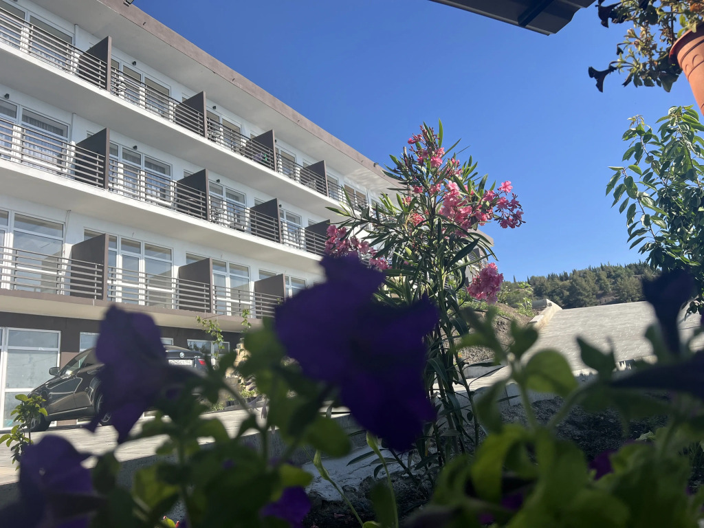 Parnas guest house