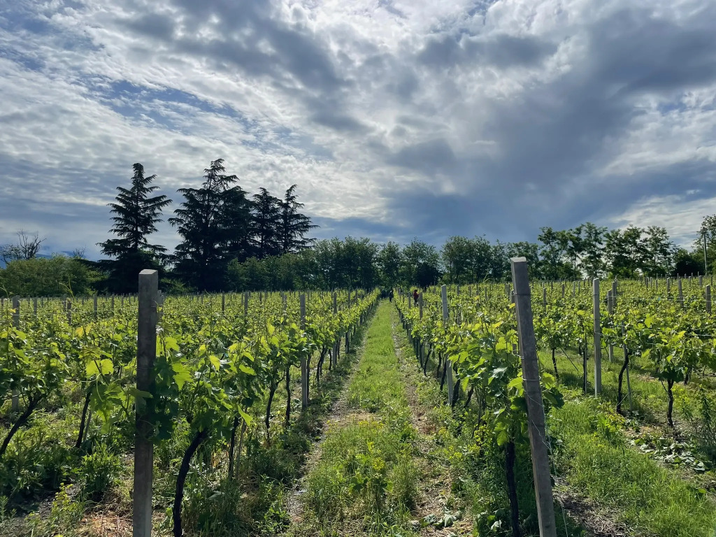 Chateau Resse