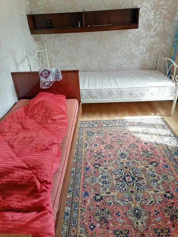 Квартира с видом на лес