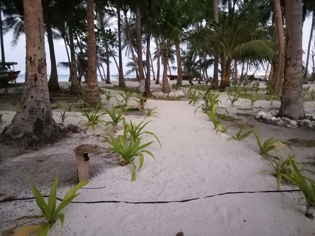 Island Luxury Boutique Hotel - Fulhadhoo