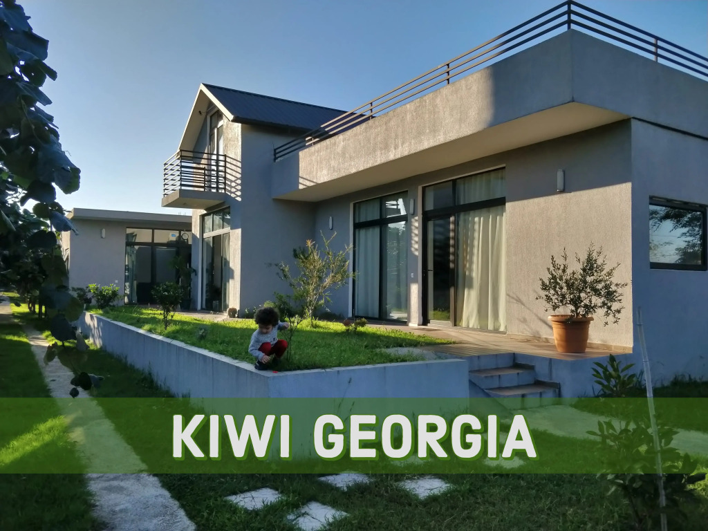 Apartment Kiwi Georgia 2