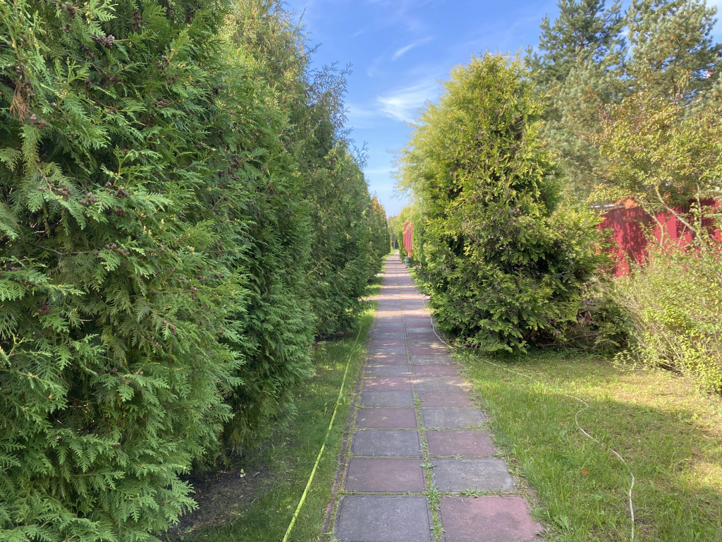 Квартира Атмосфера лета