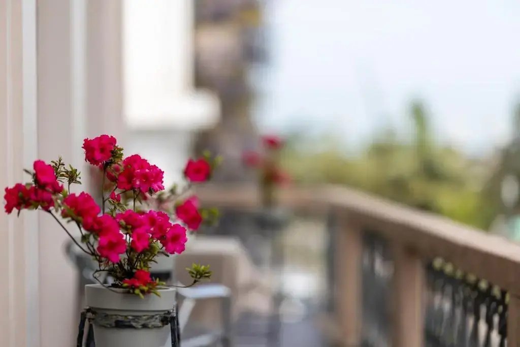 Acord Hotel & Balcony