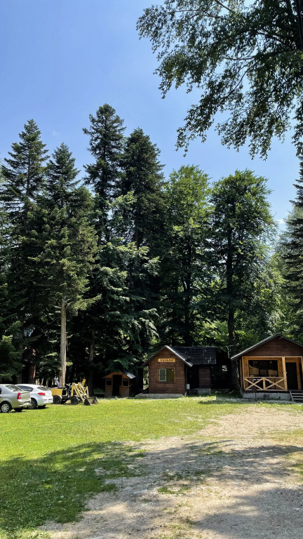 База отдыха Forest Yard
