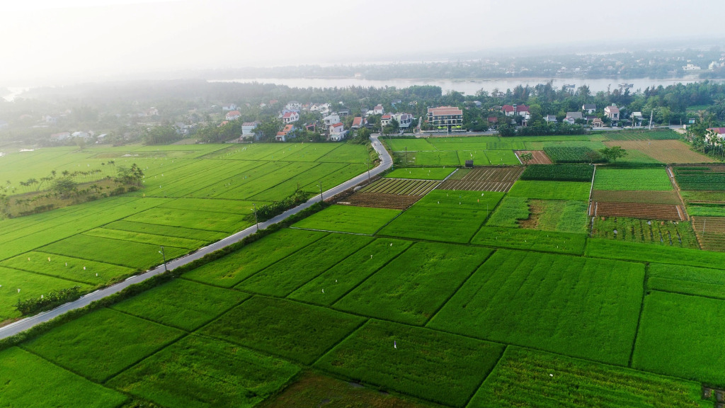 Hoi An Field Boutique Resort & Spa