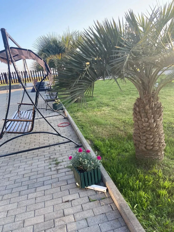Al Mare Hotel