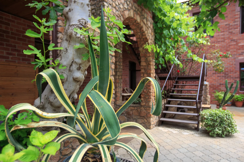 Sparta Guest house