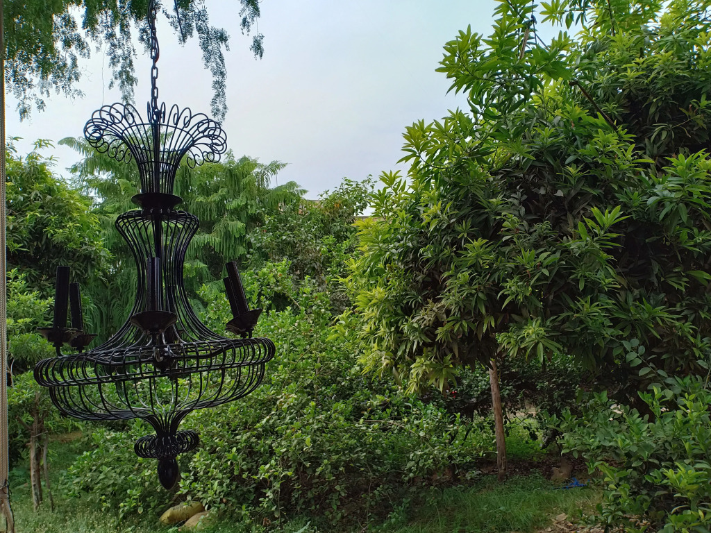 Nature Trail camps & Homestay