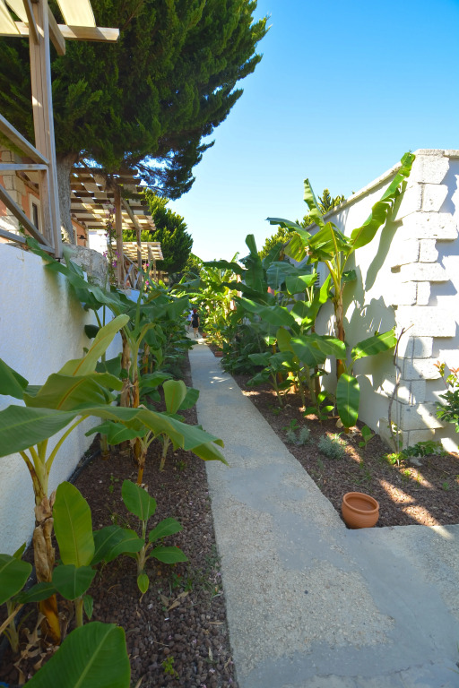 Maja Luxury Resort Hotel
