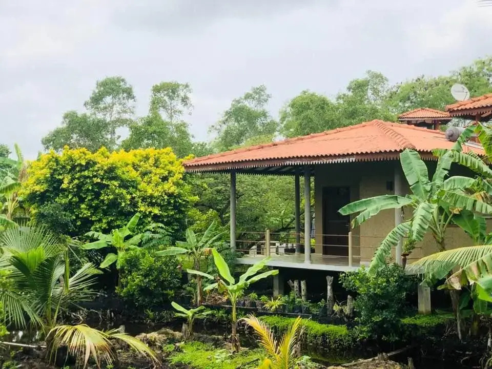 Mass Eco Cabana by Ruby